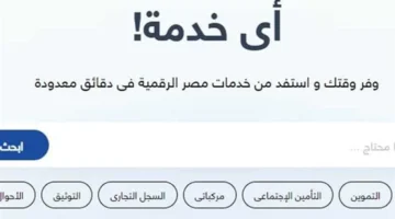 سهلة وسريعة.. طريقة استخراج شهادة التحركات إلكترونيًا بخطوات بسيطة وميسرة